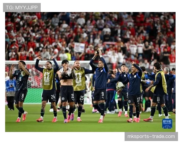 巴拉圭1-0土耳其回顾：D组第二轮关键胜利